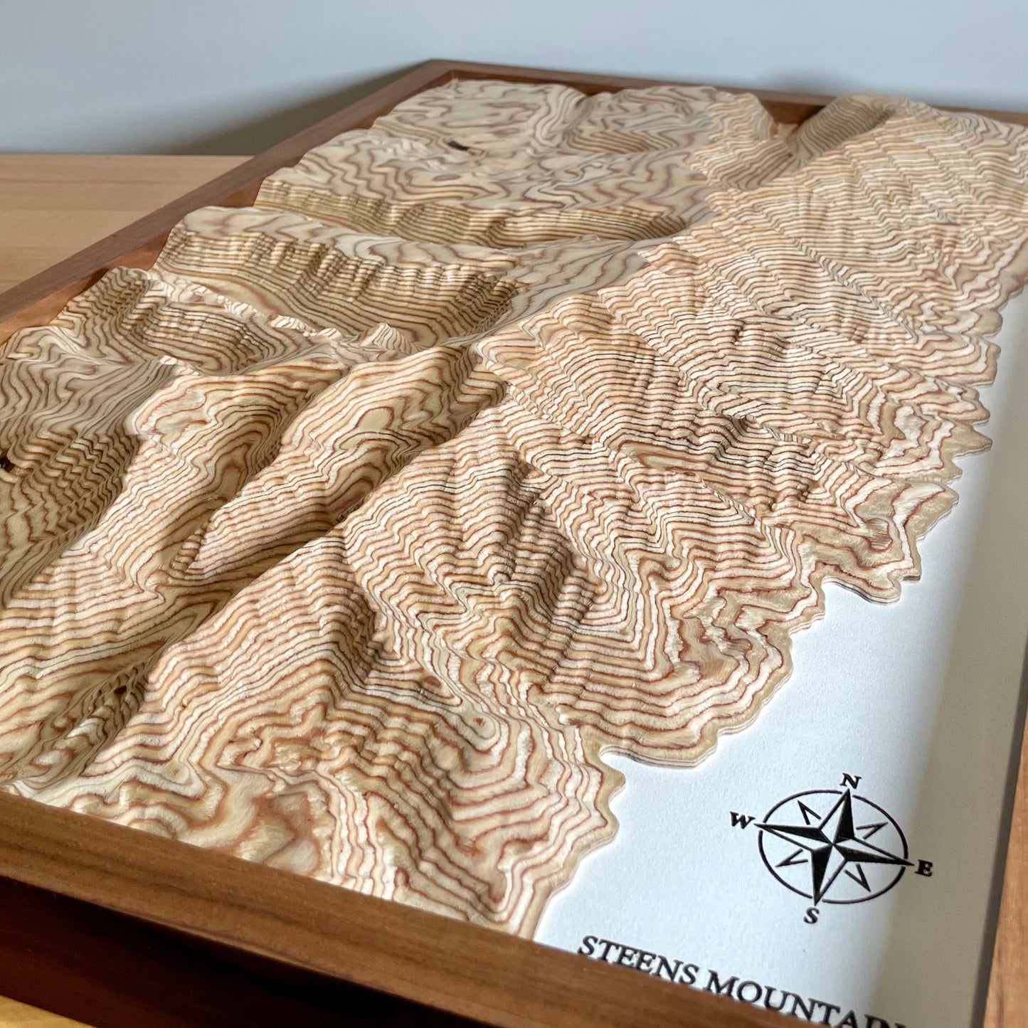Steens Wilderness 3D Topographical Map - 16"X24"