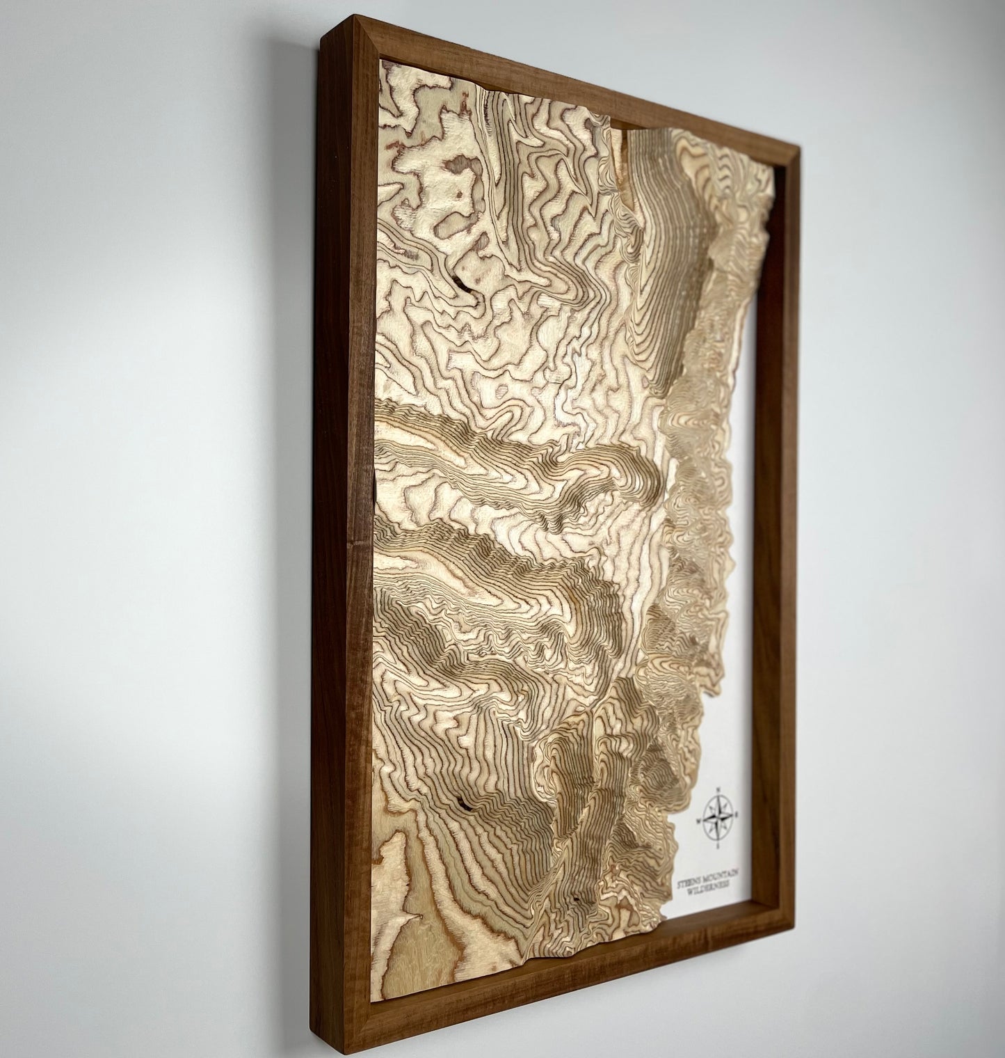 Steens Wilderness 3D Topographical Map - 16"X24"