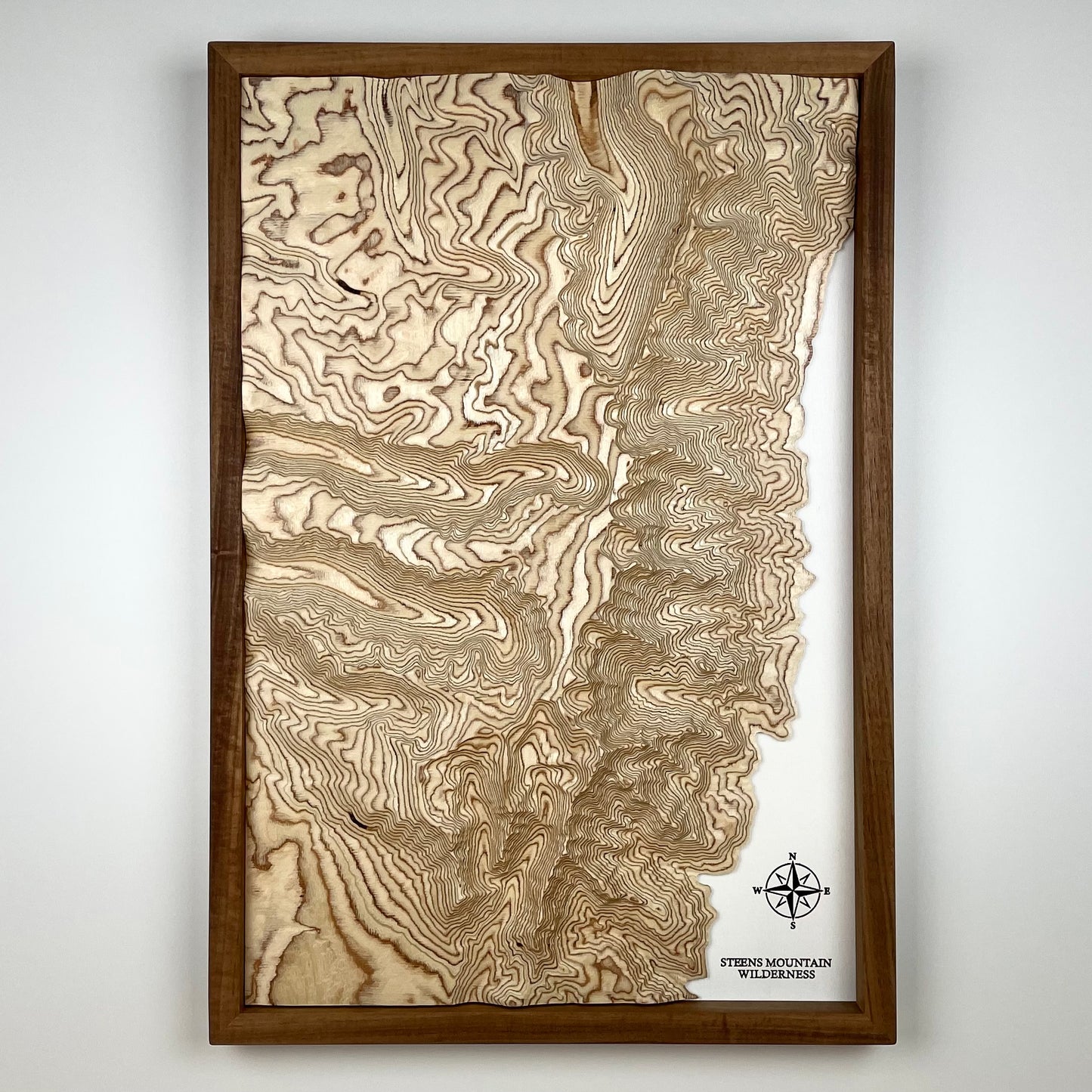 Steens Wilderness 3D Topographical Map - 16"X24"